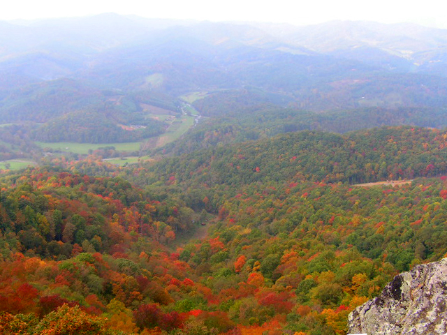 Summit overlook of river valley with brilliant autumn foliage canopy and layered ridgelines, NC High Country